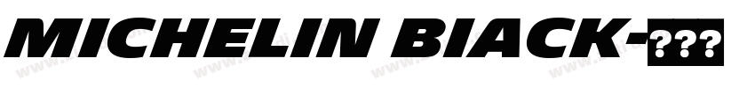 Michelin BIack字体转换